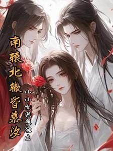 我踹了南国晋王,找了北国摄政王