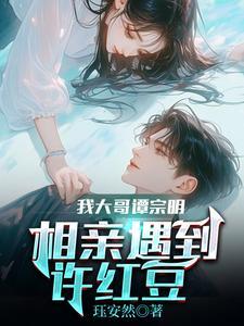 穿越:去有风的地方,娶妻许红豆